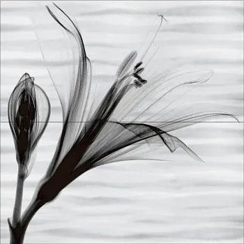 Панно Esta (PWU09EST1) (из 2 плиток)