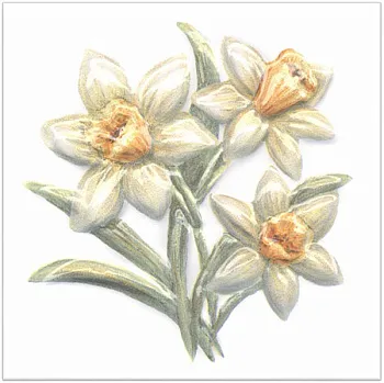 Декор TFA011 Оранжерея Нарциссы