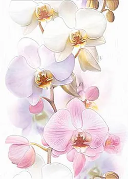 Декор Tropicana Orchids (TC2M051DT)