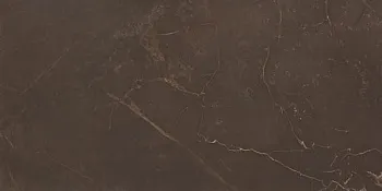 Настенная плитка Marble Marron WT9MRB21