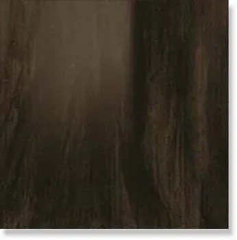 Вставка Aston Wood Dark Oak Bottone Lap