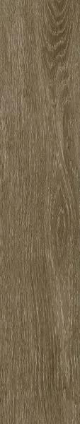 Керамогранит Legno Antico 20x120