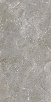 Керамогранит Dedalo Ceniza R