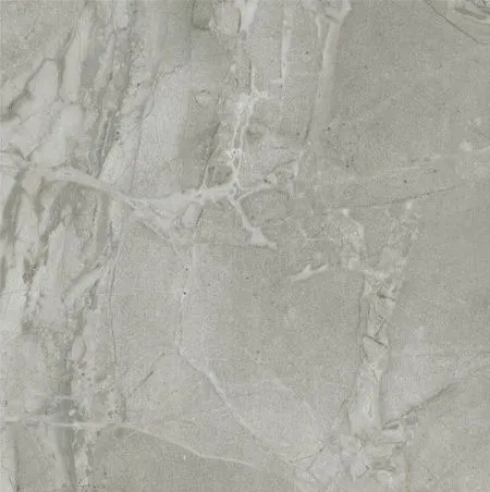 Напольная плитка SMART ICE Lapp.Rett. (изображение)