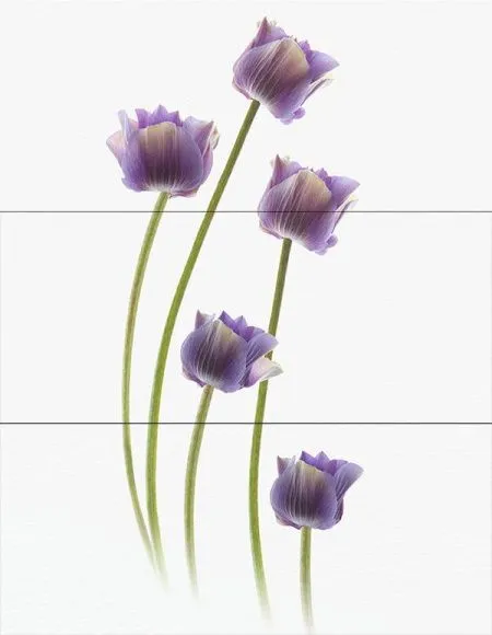 Декор WIND SARA Decor (изображение)