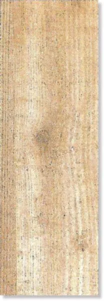 Напольная плитка Irta Serbal (изображение)