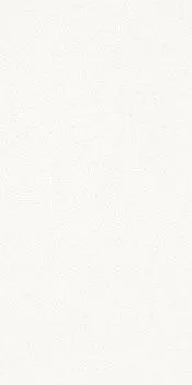 Керамогранит Black-White SNOW 50