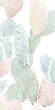 Керамогранит PAPER41 PRO Marcela 4100712