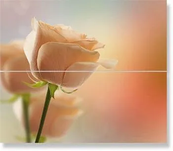 Декор Wonder Dec. Ecco-2