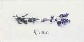 Декор Biselado Decor Blanco Casia