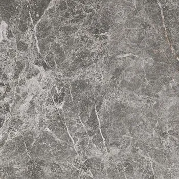 Керамогранит ELEMENTS LUX GRIGIO IMPERIALE 60 LAP RT (A227)