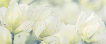 Декор Rapsodia olive decor 01 (010301001711)