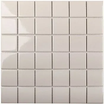 Мозаика Grey Glossy 48x48 (WB30216)