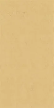 Керамогранит WIDE&STYLE MINI GINGER RET  (PF60008231)