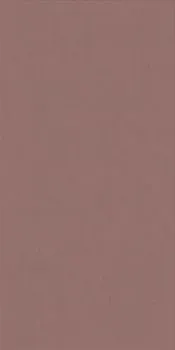 Керамогранит WIDE&STYLE MINI PAPRIKA RET (PF60008237)