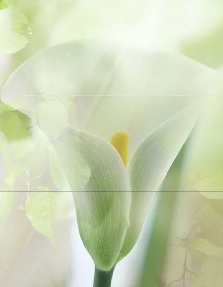 Декор WIND IRINA Decor (изображение)