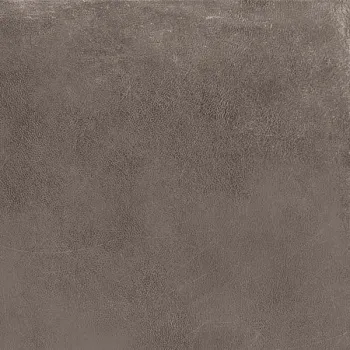 Керамогранит Ariana Worn Mud ret.