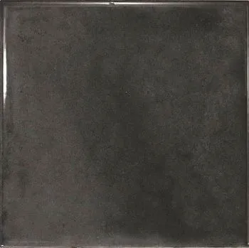 Настенная плитка SPLENDOURS BLACK (23969)