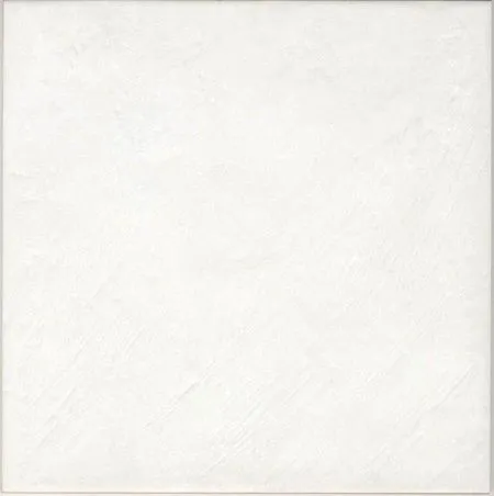 Настенная плитка Eternity  White (изображение)