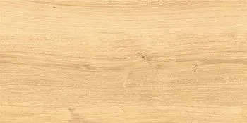 Керамогранит Woodhouse глаз. бежевый (16344)