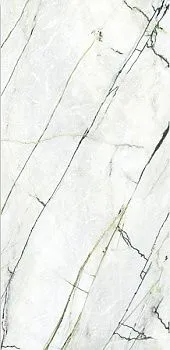 Керамогранит Xlight Premium Calacatta Green Silk (C229803521)