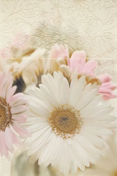 Панно герберы Reflection Beige Panel Gerber (комплект из 3 шт) (изображение)