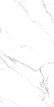 Керамогранит Massimo Mckinley (CV20304)