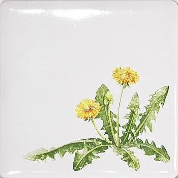 Декор A1840/1236 Одуванчик