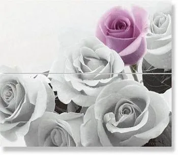 Декор Wonder Dec. Nacci-2