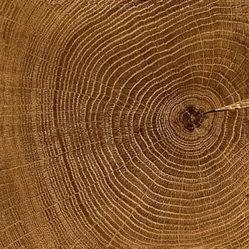 Напольная плитка Sutton Natural