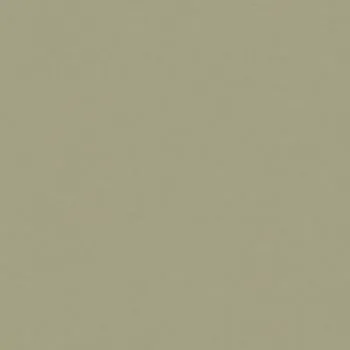 Керамогранит RAINBOW RW061 Непол.Рект. 60