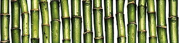 Бордюр Jungle (JU1C021) зелёный