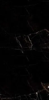 Керамогранит Eco Marble Tropic Black