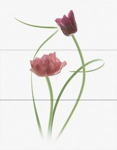 Декор WIND ORIANA Decor (изображение)