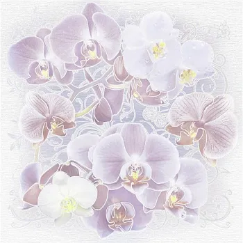 Панно Orchids S/2 SW9ORH02