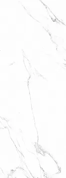 Керамогранит Artic Nature (V30800631)