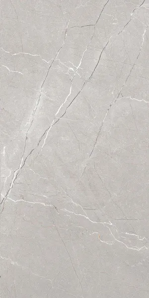 LARICE GREY F4_60x120 (5)