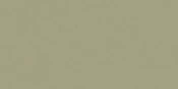 Керамогранит RAINBOW RW061 Непол.Рект.