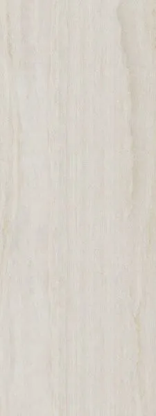 SG073200R6_119,5х320_1