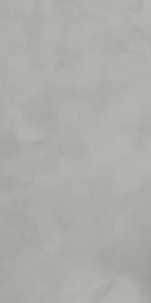 600_BONDFORD SILVER_60x120 (2)