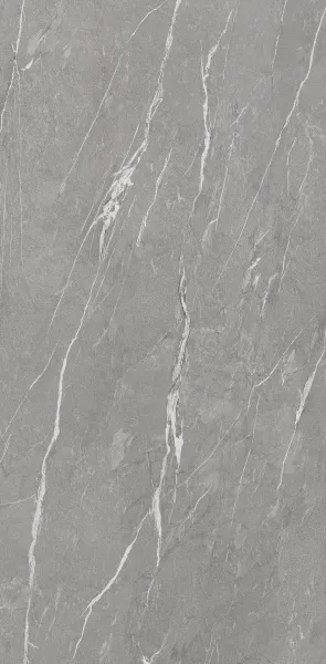 CASANIA-GRAY-120X260-(3)