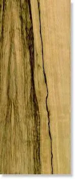 Керамогранит LE ESSENZE REX FRAKE' NAT. SLIM