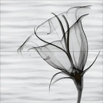 Панно Esta (PWU09EST2) (из 2 плиток)