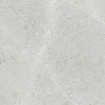 Керамогранит ALTAMURA SILVER PUL 120
