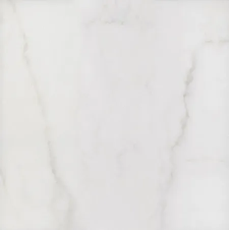 Керамогранит Лакшми SG454300N белый (изображение)