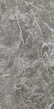 Керамогранит ELEMENTS LUX GRIGIO IMPERIALE 60 LAP RT (A267)