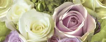 Декор Rosalie Роза 1