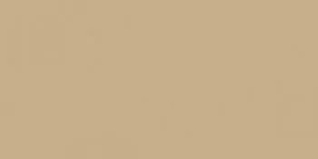 Керамогранит RAINBOW RW15 Полир.