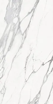 Керамогранит STATUARIO MICHEL.RET NAT C46M0R