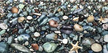 Декор Riviera (DWU09RVR024)